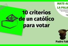 10 criterios catolicos para votar
