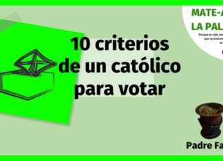 10 criterios católicos para votar 10 criterios catolicos para votar