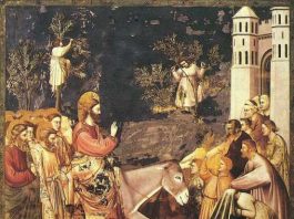 Giotto Entrada Jerusalen