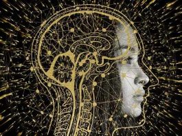 Inteligencia Artificial