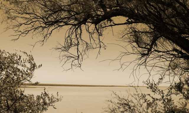 Presbítero Miguel de Barcelona Parana sepia
