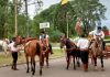 Procesión Feliciano