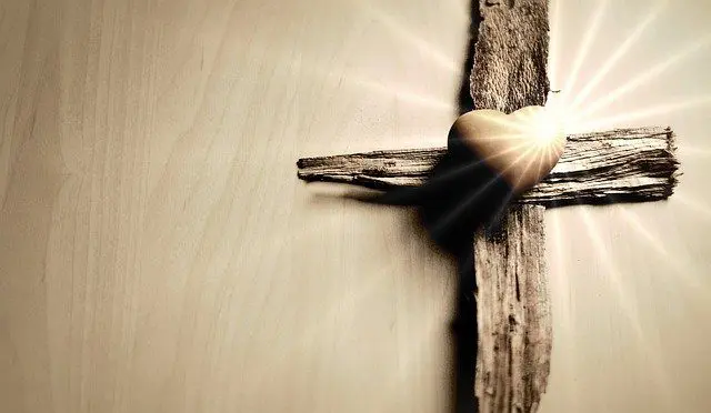 La levadura en la masa