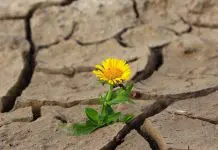 La conversión pastoral eclesialidad en conversión