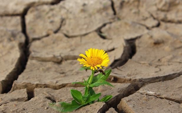 La conversión pastoral eclesialidad en conversión