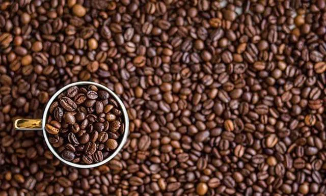 La parroquia, los granos de café y la conversión pastoral granos de cafe