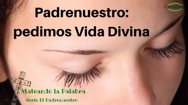 En el Padre Nuestro pedimos Vida Divina