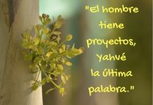 proyectos