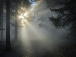 rayo de luz